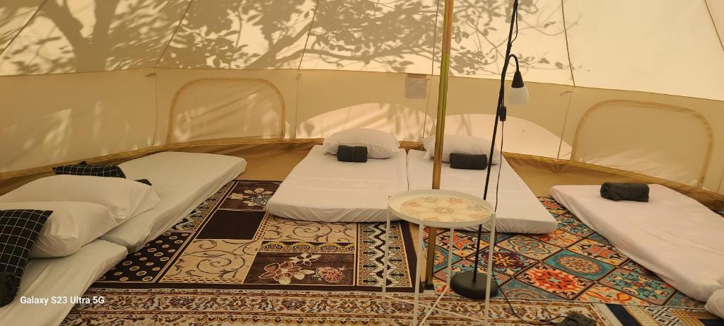 Posezení v ubytování Arista glamcamp