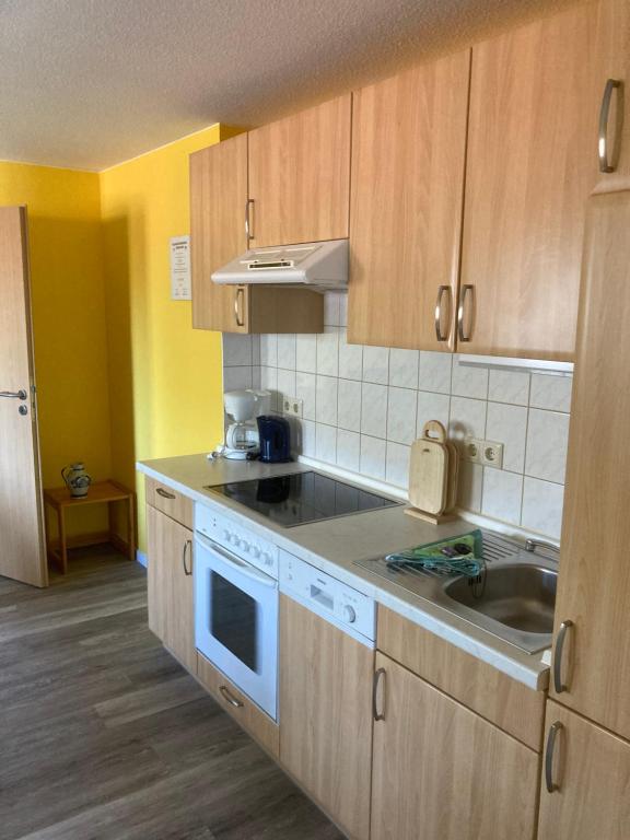 Kuchyň nebo kuchyňský kout v ubytování FeWo Lindenhof