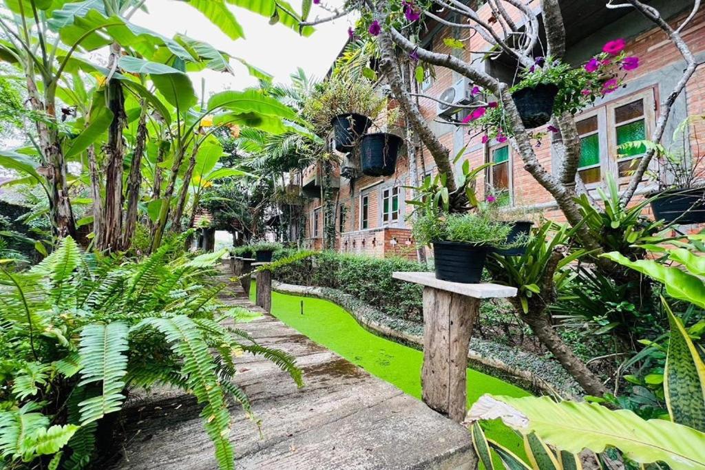 Amethyst Hotel Chiang Mai - Resim 6