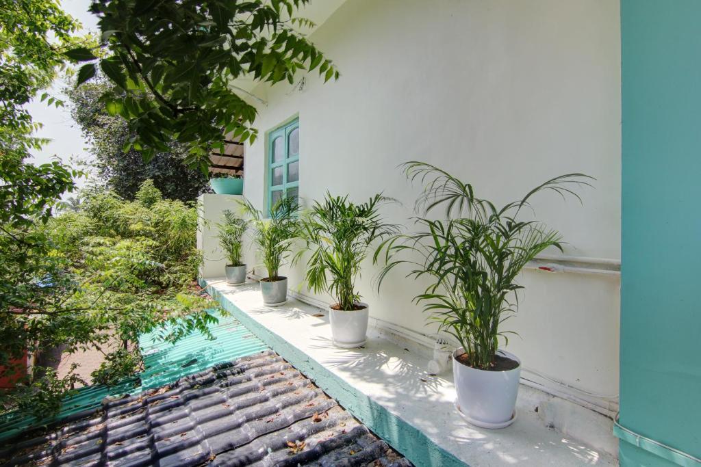 Zahrada ubytování Comfort Holiday Home