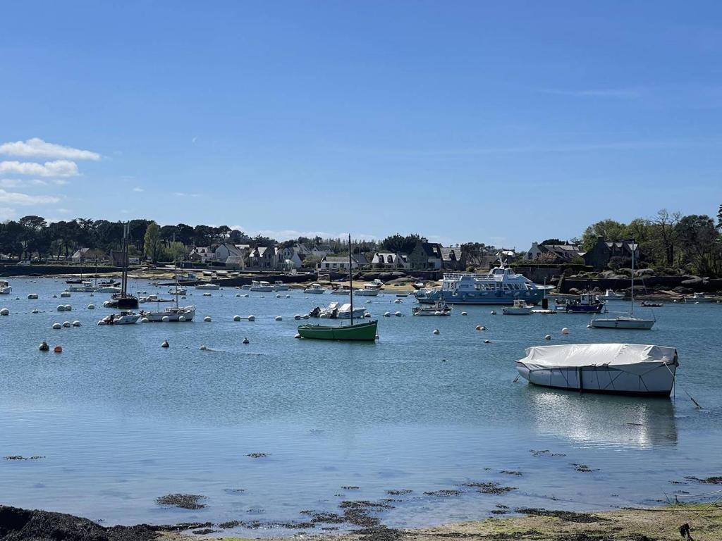 Une bande de bateaux assis dans l'eau dans l'établissement Maison avec WIFI jardin à 480m de la plage à Ploumanac'h PERROS-GUIREC - Réf 315, à Perros-Guirec