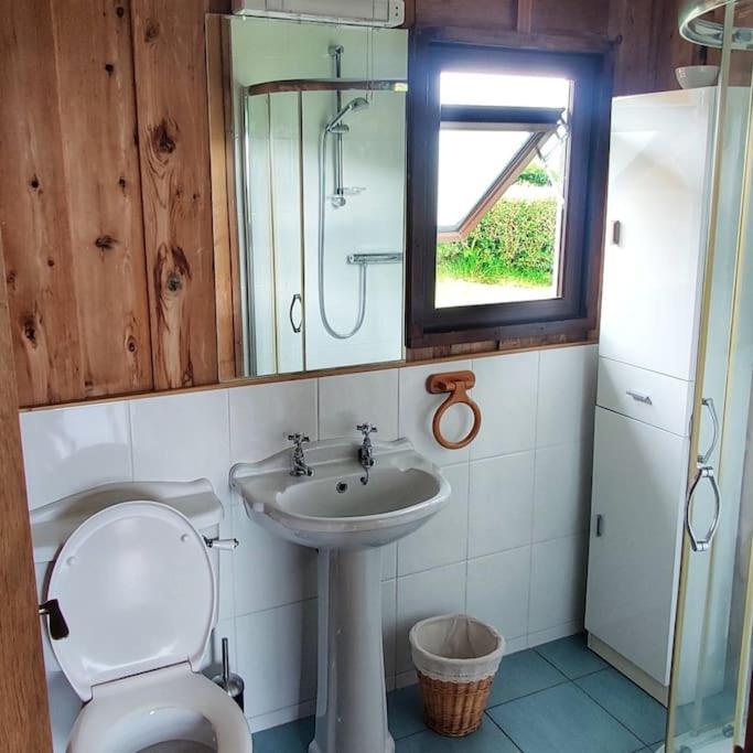 Koupelna v ubytování Small cottage in Camp, Kerry on the Dingle Way