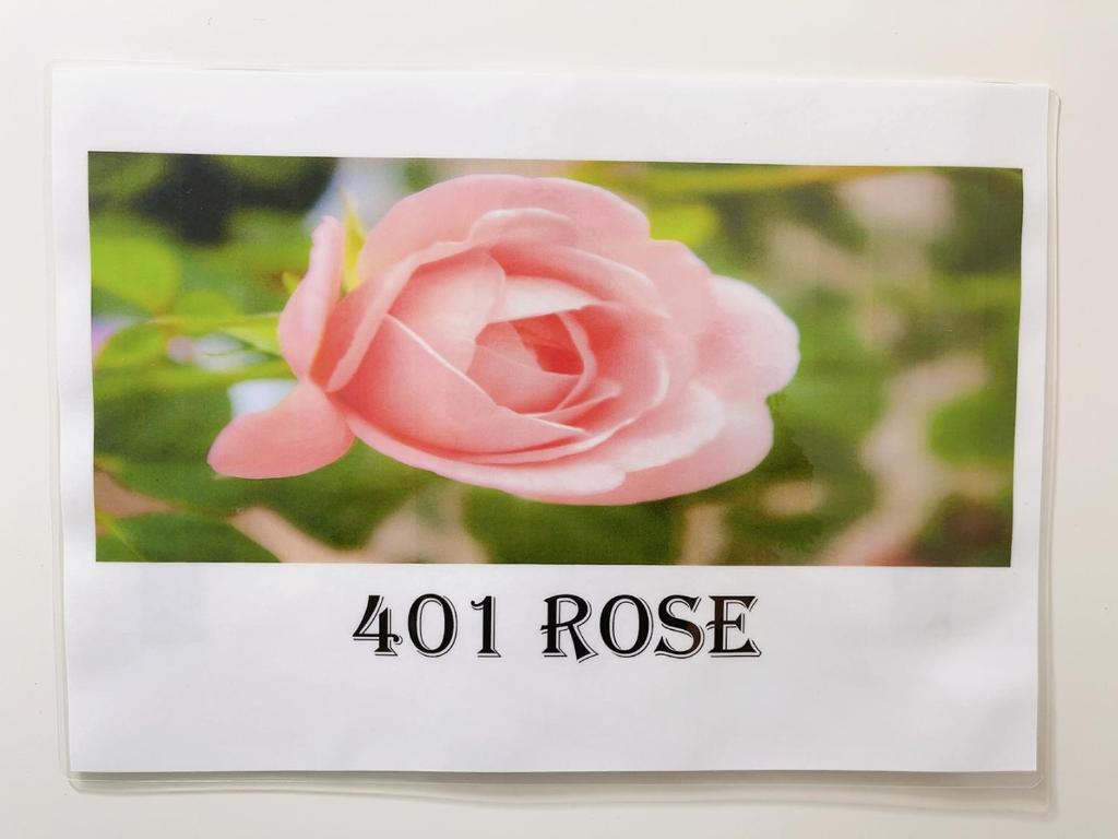 Fotografie z fotogalerie ubytování 東京リリアルホテル401 v Tokiu