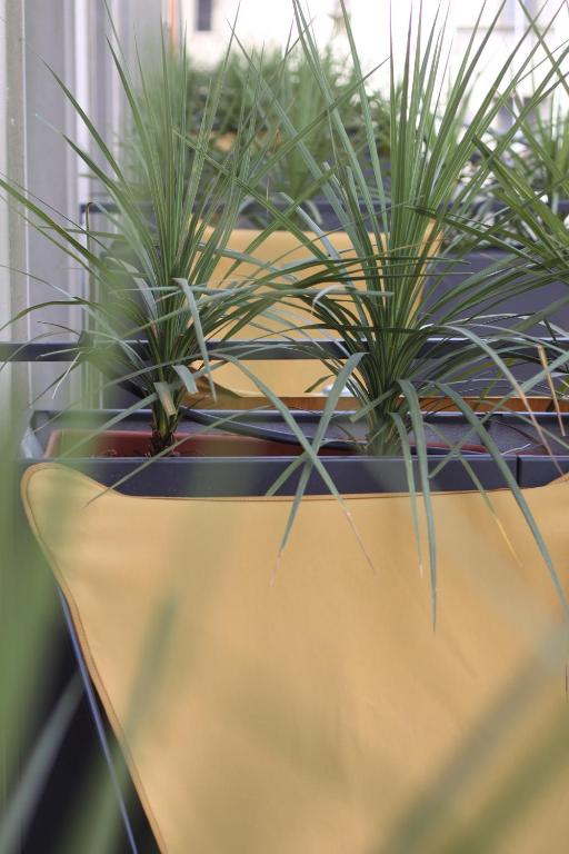 c-hotels Joy - Resim 9