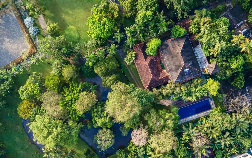 コロンボにあるLotus Estate Colomboの家屋付き森の上景
