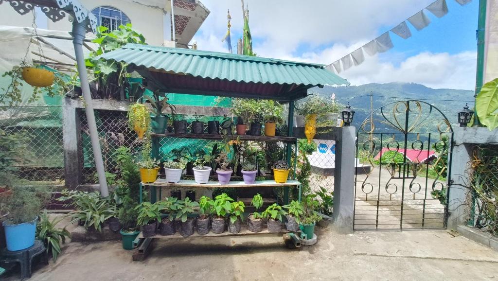 a garden with potted plants on a fence at Goo Sheela Homestay in Darjeeling