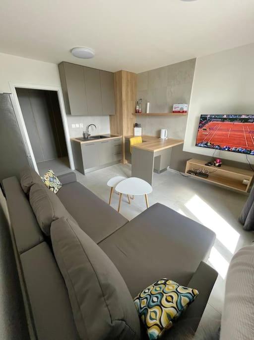 ein Wohnzimmer mit Couch und Küche in der Unterkunft Apartmán Sunrise 19 in Michalovce