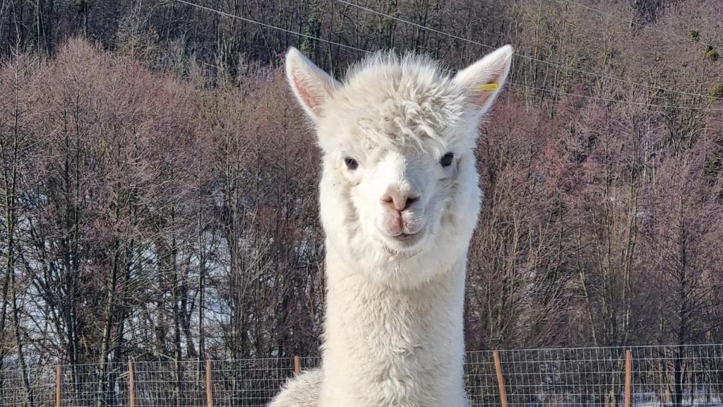 Photo from Pálos Resort in  csány, Zala, Hungary