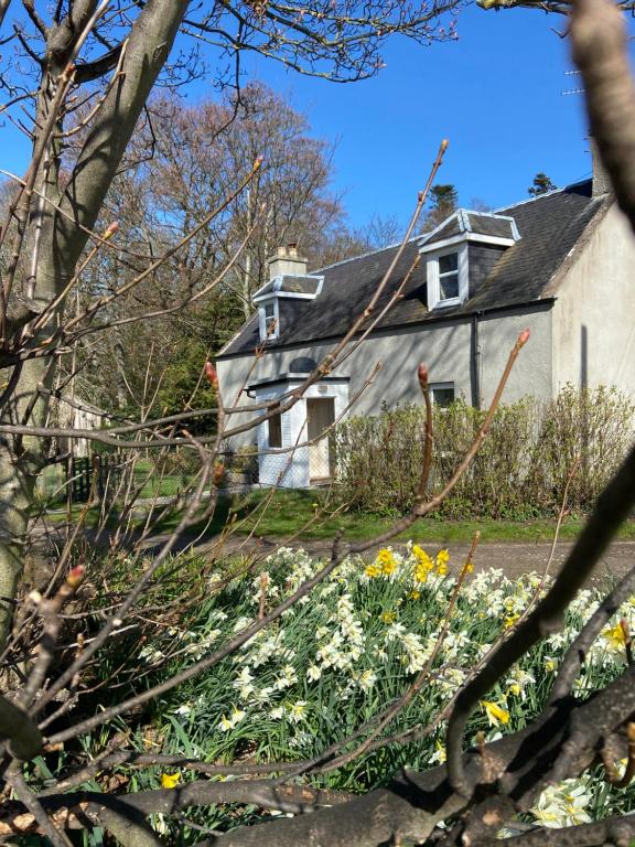 Κήπος έξω από το Dalvey Mill Cottage