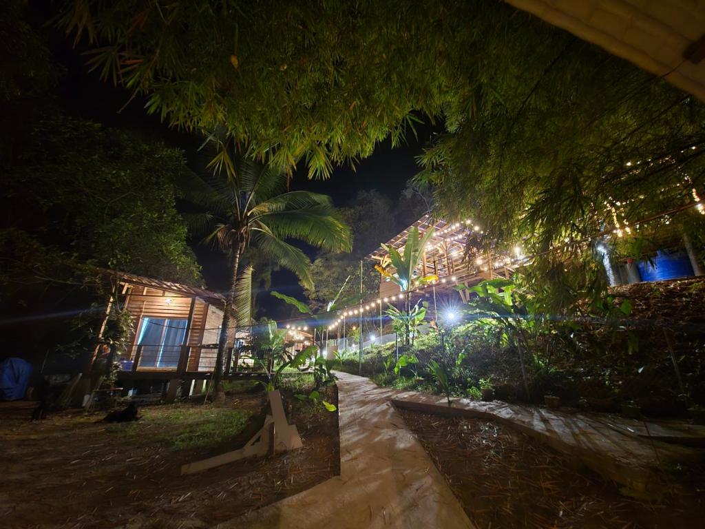 Zahrada ubytování Bamboo Lodge