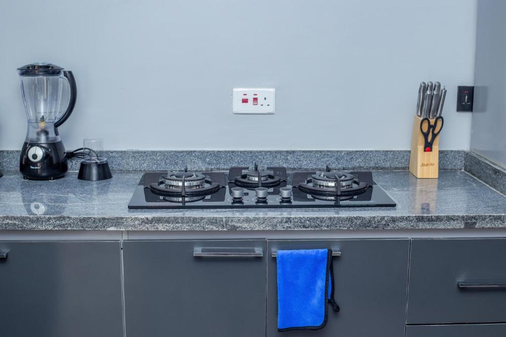 Kuchyň nebo kuchyňský kout v ubytování Aija Residences