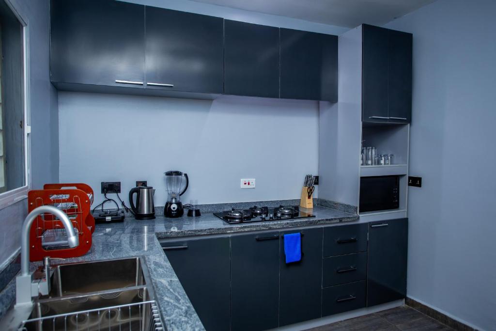 Kuchyň nebo kuchyňský kout v ubytování Aija Residences