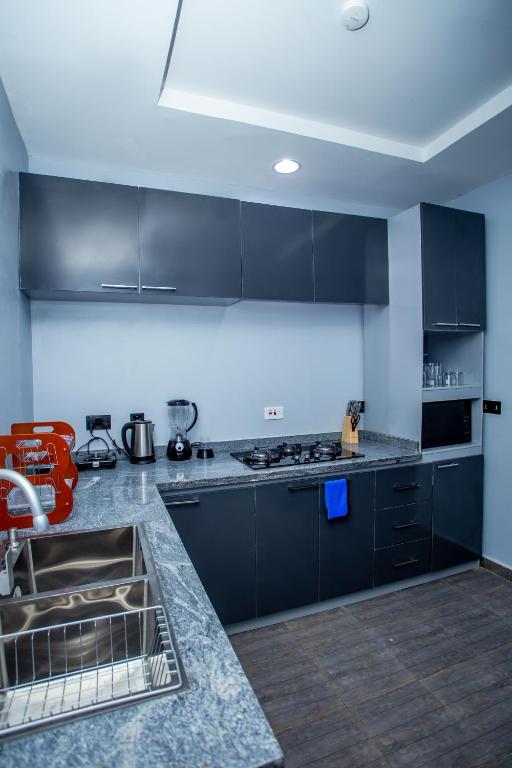 Kuchyň nebo kuchyňský kout v ubytování Aija Residences