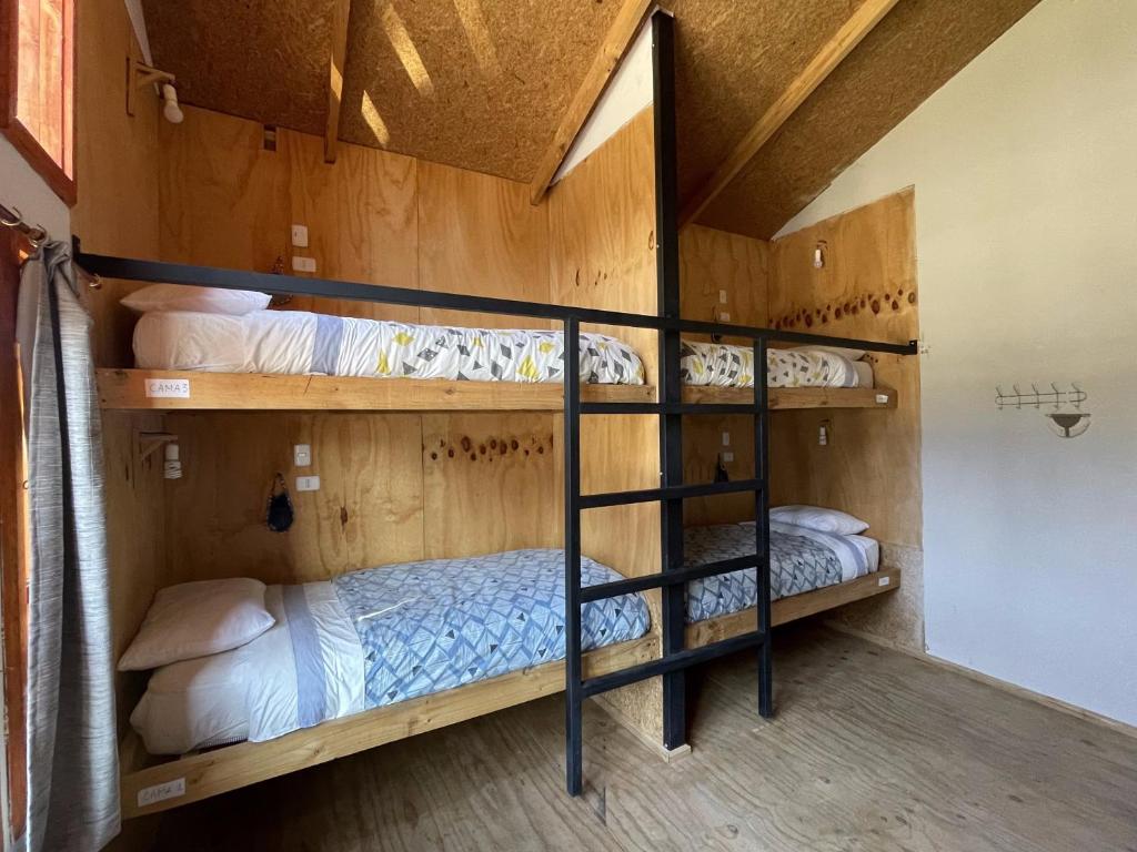 Foto sihtkohas Futaleufú asuva majutusasutuse Mirlo’s hostel galeriist