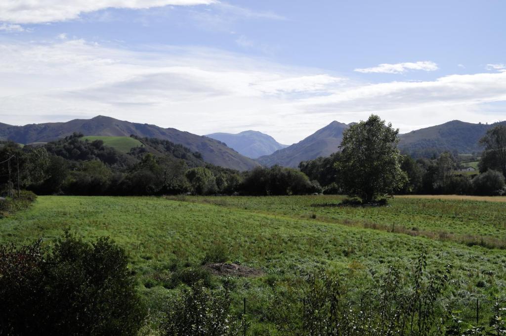 a field with a tree and mountains in the background at Gîtes Jara et Mendia, Maison Eguzki-Lore, Saint-Jean-Pied-de-Port, Pays Basque in Saint-Jean-Pied-de-Port