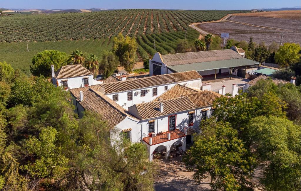 una vista aerea di una casa in un vigneto di 10 Bedroom Stunning Home In Santaella a Puente Genil