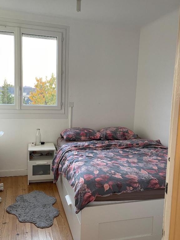 une chambre avec un lit et une fenêtre dans l'établissement Charmant Studio, à Nantes