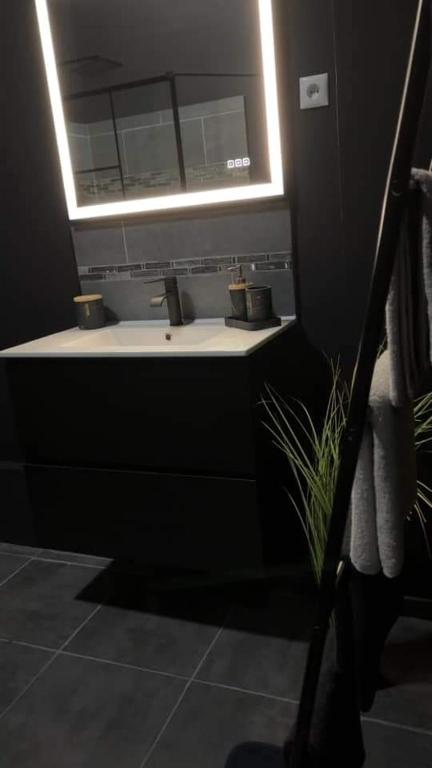 La salle de bains est pourvue d'un lavabo éclairé. dans l'établissement Eau bon'heure, à La Bassée