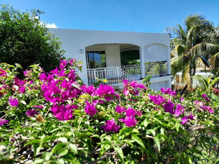 a house with pink flowers in front of it at LaVieLà in Saint-Claude