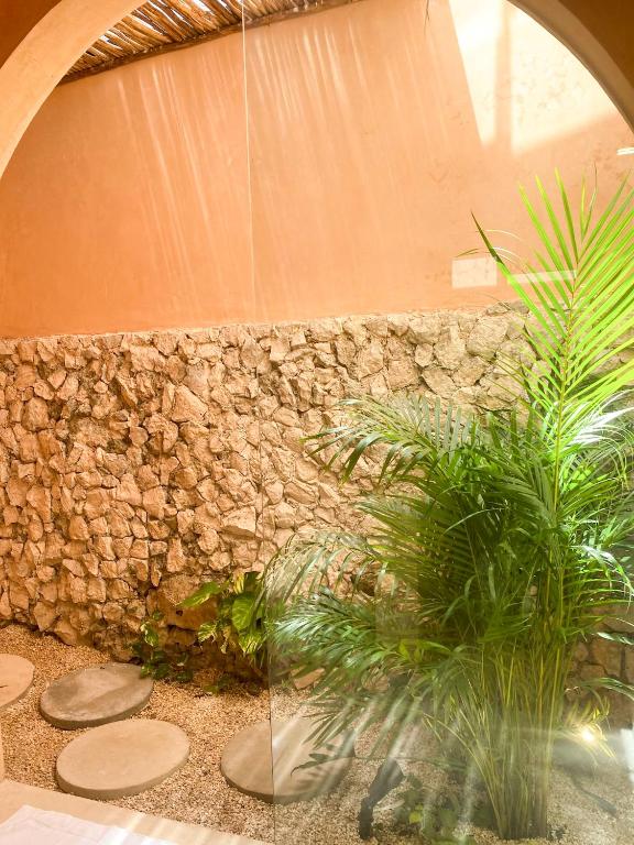 Fotografie z fotogalerie ubytování Kuka y Milpa v destinaci Mérida