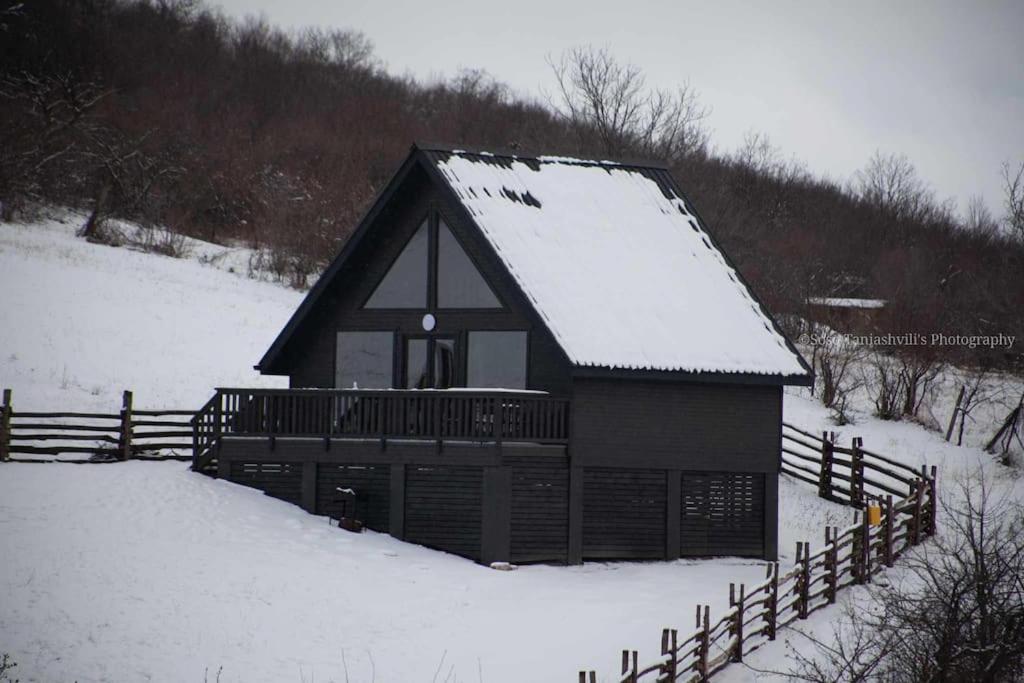 The Black Hills - Cottage in Dusheti om vinteren
