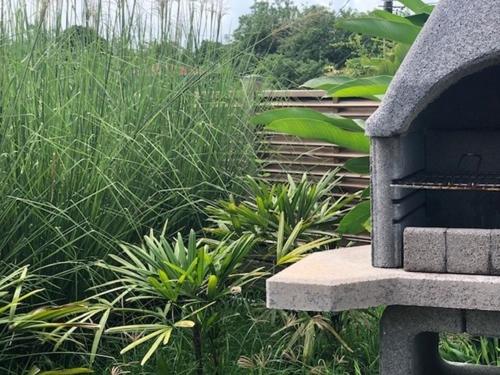 Zahrada ubytování Villa Tigo T3 Colibri