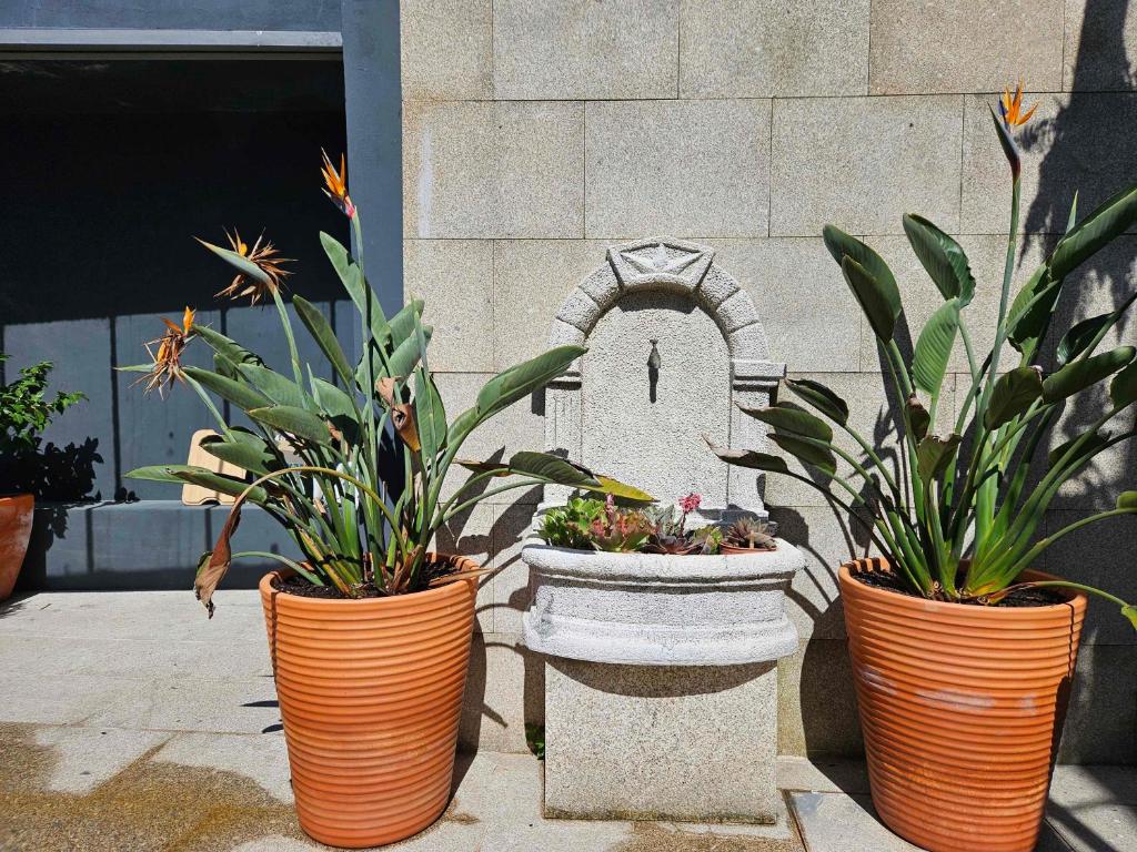 Authentic Porto Village - 4