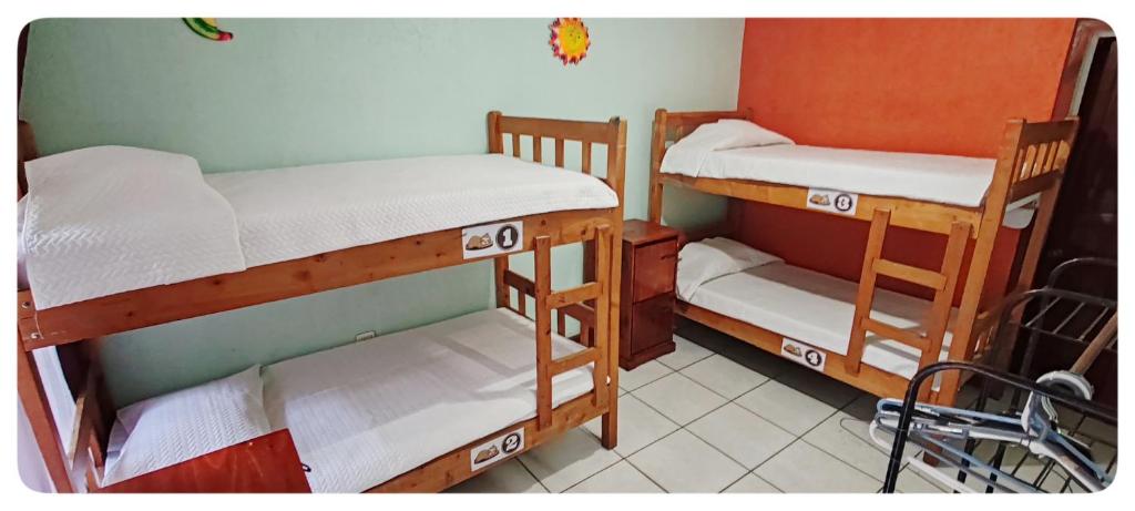 Hotel & Hostel Sloth Backpackers - Lit Simple Dans Une Salle De Dortoir Mélangée