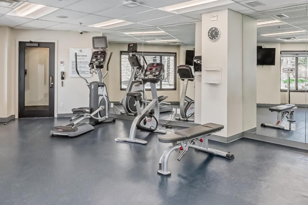 Fitness centrum a/nebo fitness zařízení v ubytování Copper Point Resort