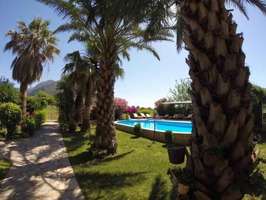 a resort with palm trees and a swimming pool at Papirus Hotel in Adrasan