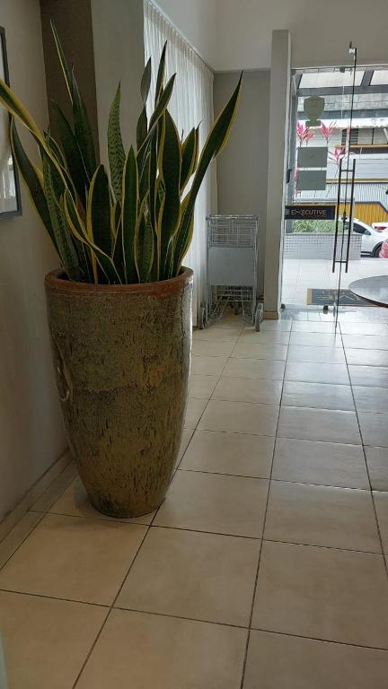 a plant in a pot sitting on a tile floor at Executive Celita Franco in Feira de Santana