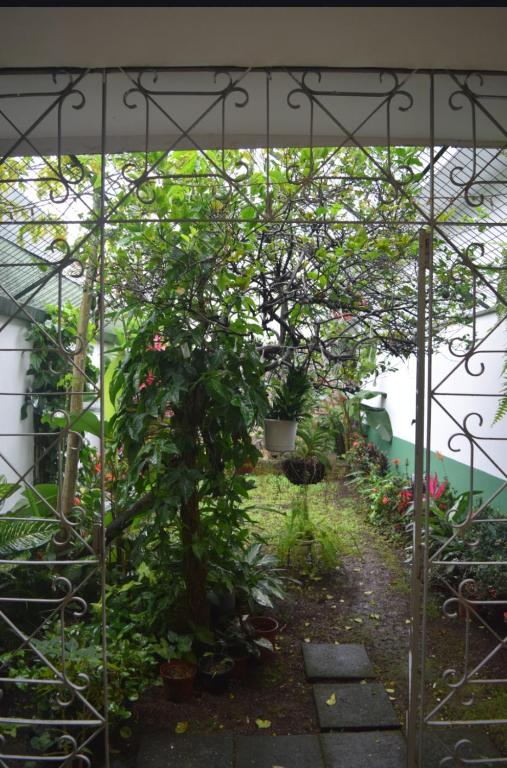 Zahrada ubytování Linda y céntrica habitación