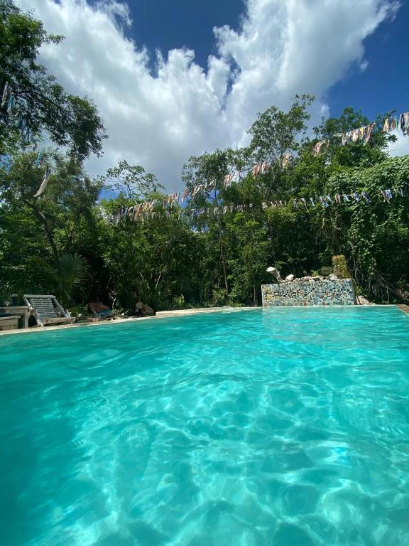 a swimming pool with a chair and blue water at Corazón de Selva in Macario Gomez