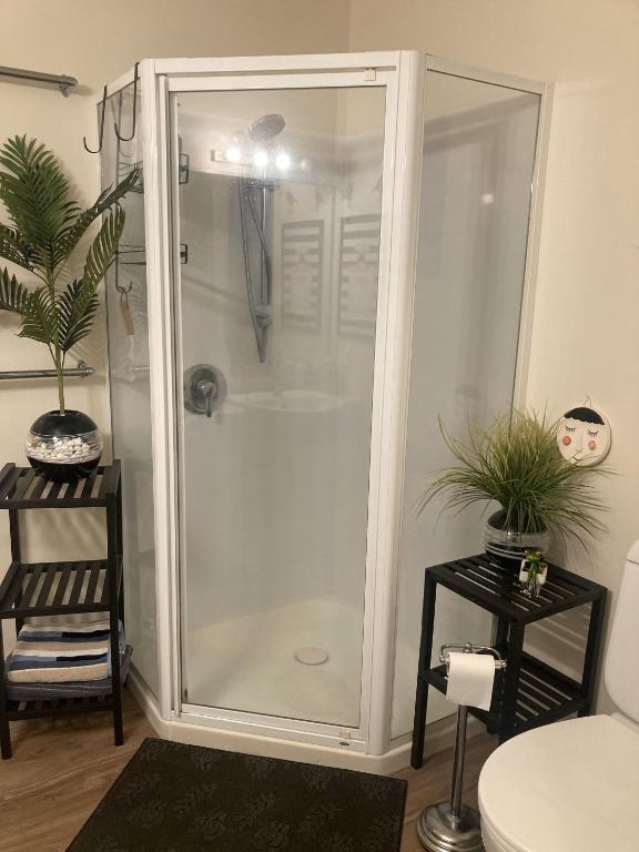 Oceanside to Seaside 334 - Resim 8