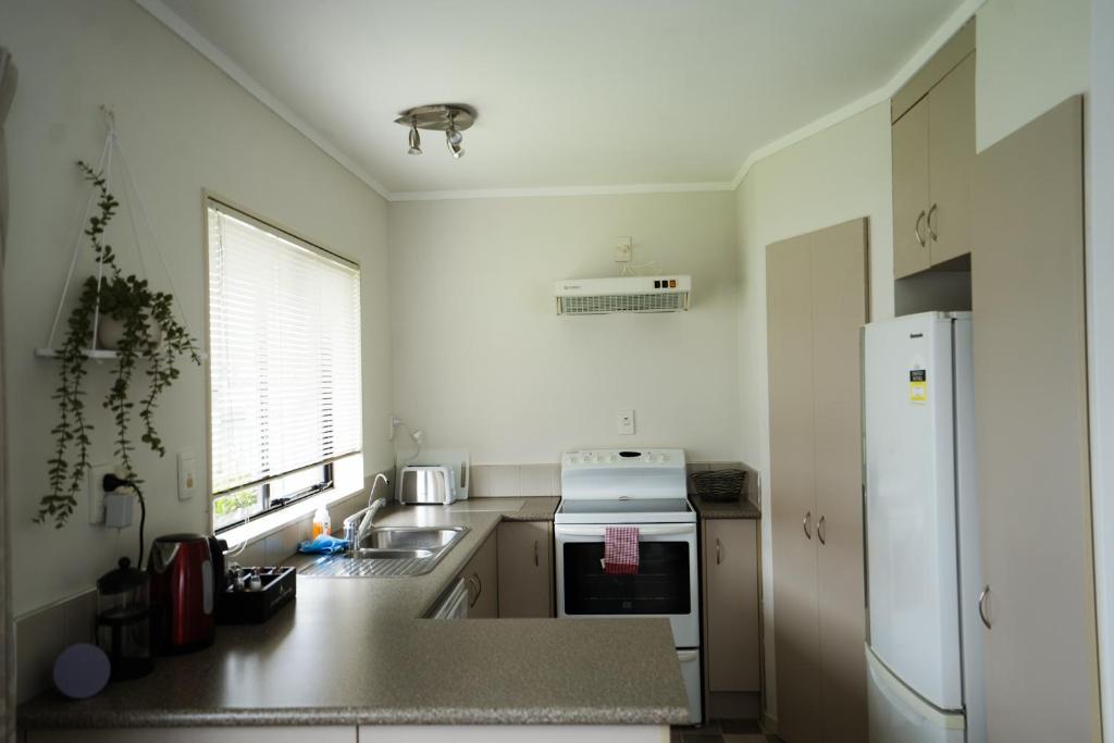 The Billy Ritz - Resim 12