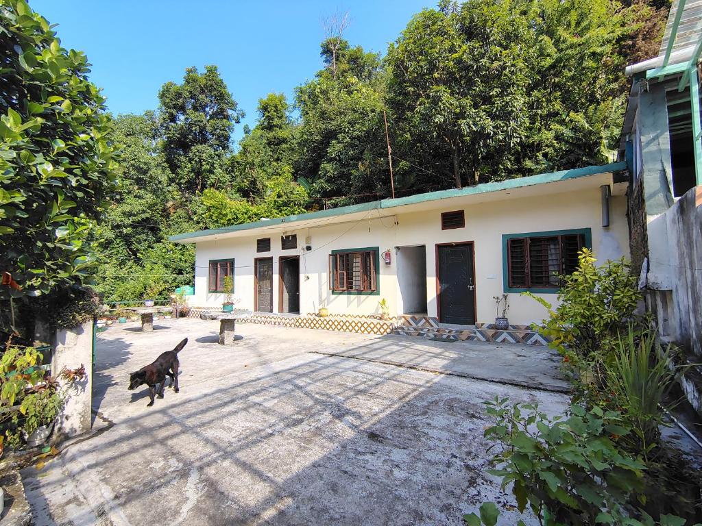 Domácí mazlíčci ubytovaní s hosty v ubytování Vishranti homestay