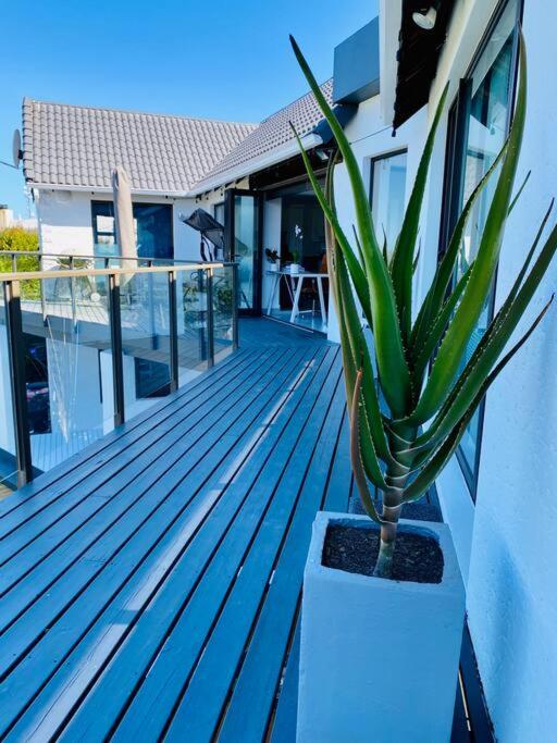 Elevated & Fluent in Comfort - Image 30