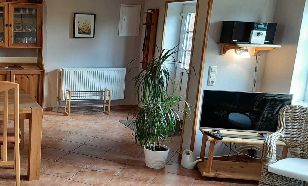 TV a/nebo společenská místnost v ubytování Ferienhaus Geltinger Birk
