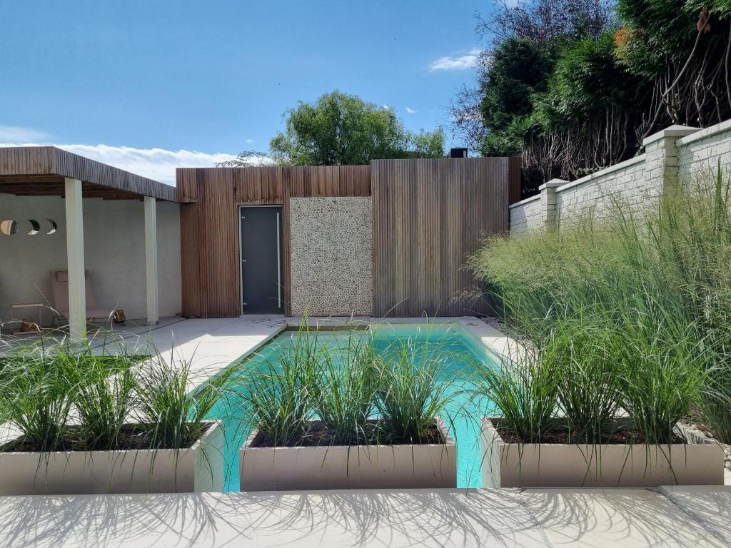 ein Swimmingpool mit Pflanzen im Garten in der Unterkunft Nova Nocte Urban Private Pool & Spa Retreat in Tongeren