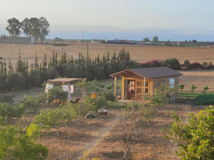 Zahrada ubytování Countryside's Tiny House