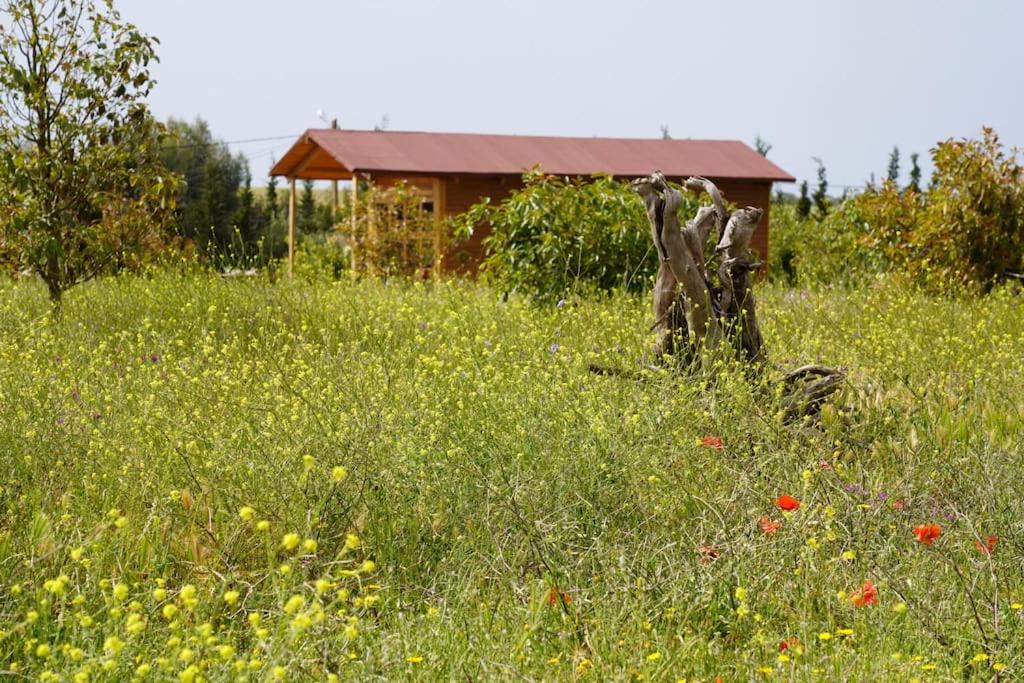 Zahrada ubytování Countryside's Tiny House