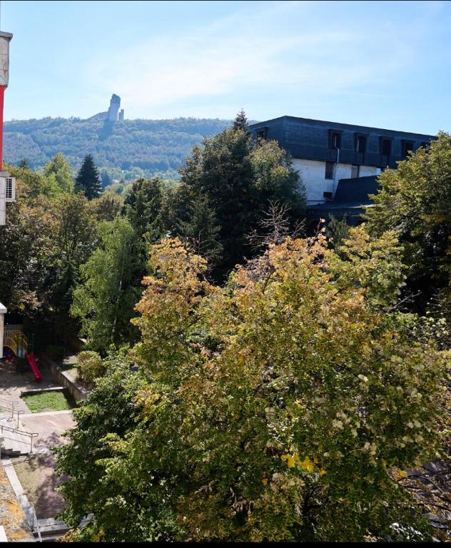 Příroda nedaleko apartmánu