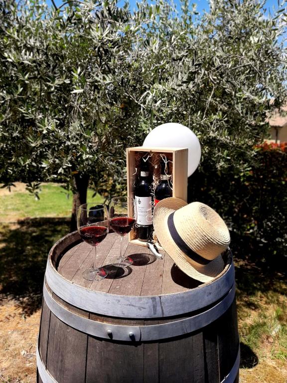Zahrada ubytování L'Olivo nel Chianti