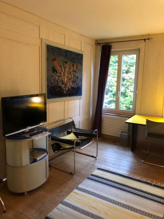 TV a/nebo společenská místnost v ubytování B&B Winterthur