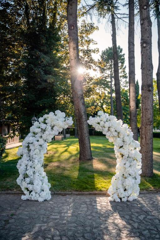 Zahrada ubytování Hotel Drim & SPA