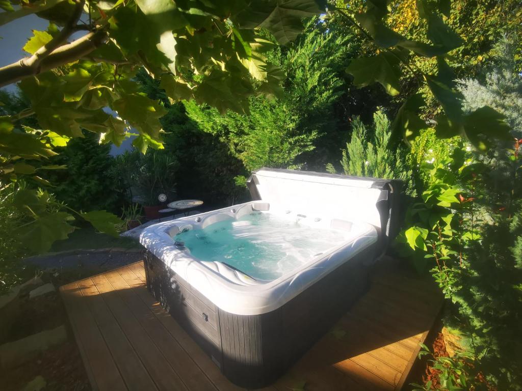 Kúria apartman with private jacuzzi and pool 1151 Budapest, 25 Sín utca kép - 1