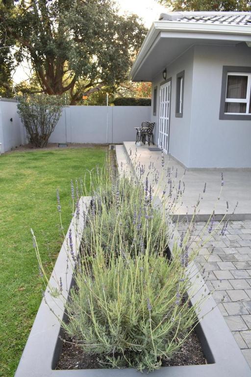 Lavender Grove - Image 15