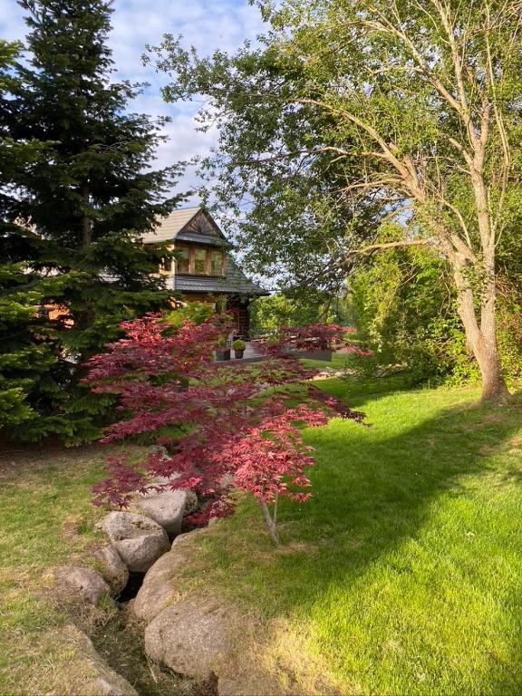 Zahrada ubytování Datchas Lodges