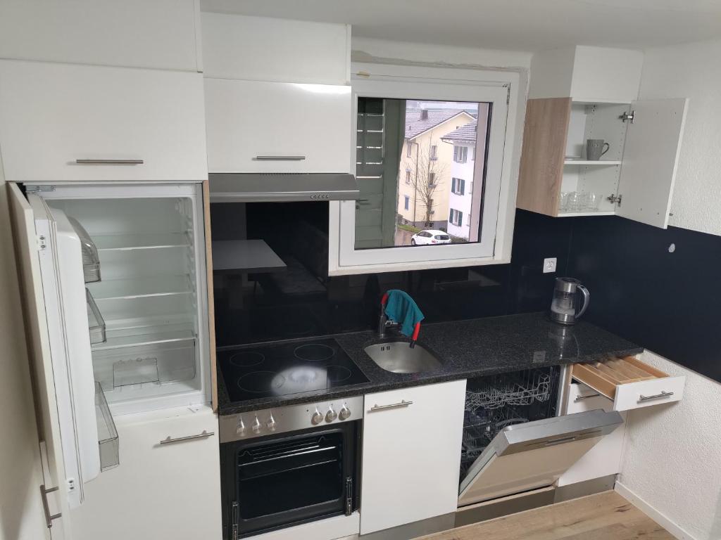 Kuchyň nebo kuchyňský kout v ubytování Butthouse Apartments