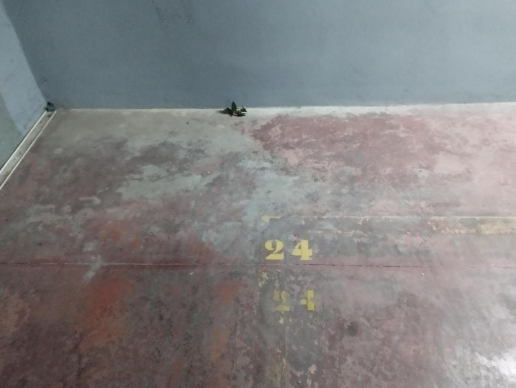 Plan piętra w obiekcie CD-Estudio, estudio a estrenar acogedor y funcional, céntrico, barrio tranquilo